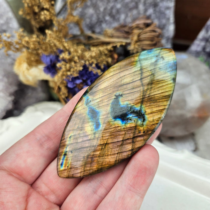 Labradorite Cabochon, 4