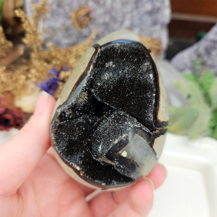 Septarian Dragon's Egg, 4