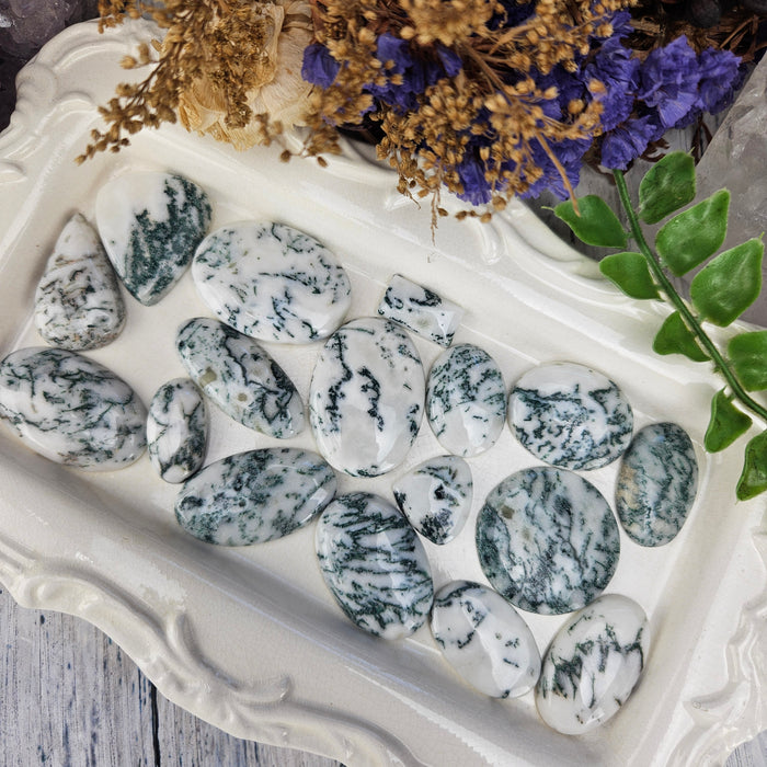 Tree Agate Cabochons