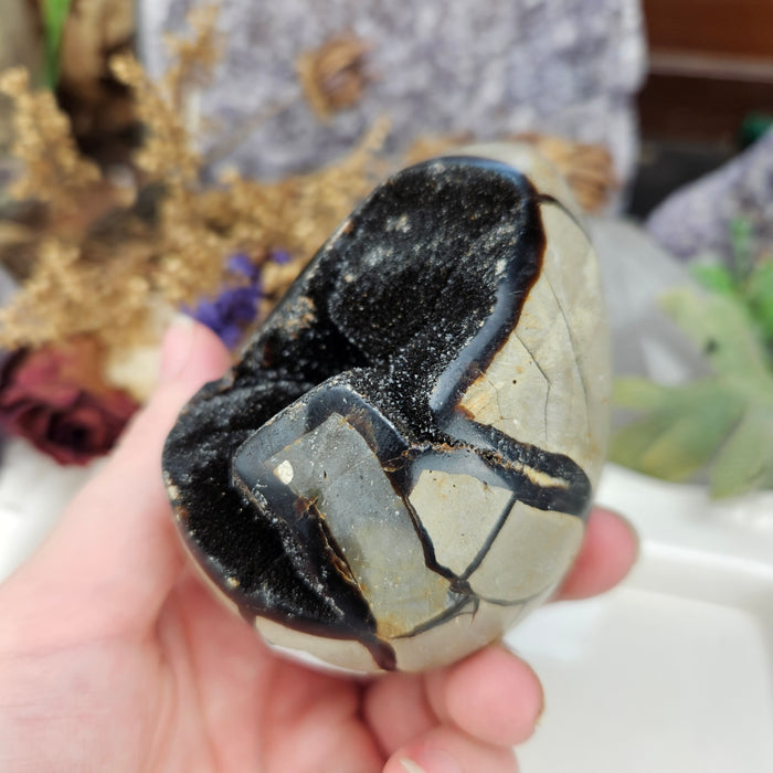Septarian Dragon's Egg, 4