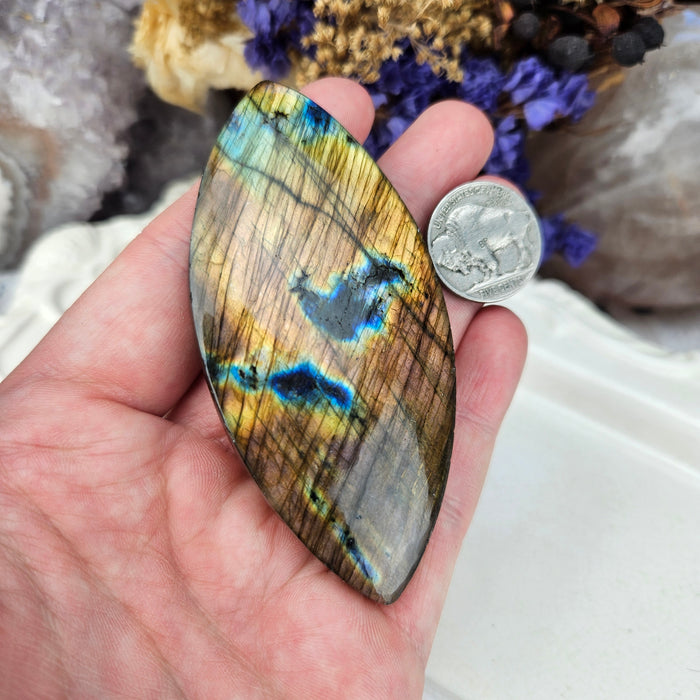 Labradorite Cabochon, 4