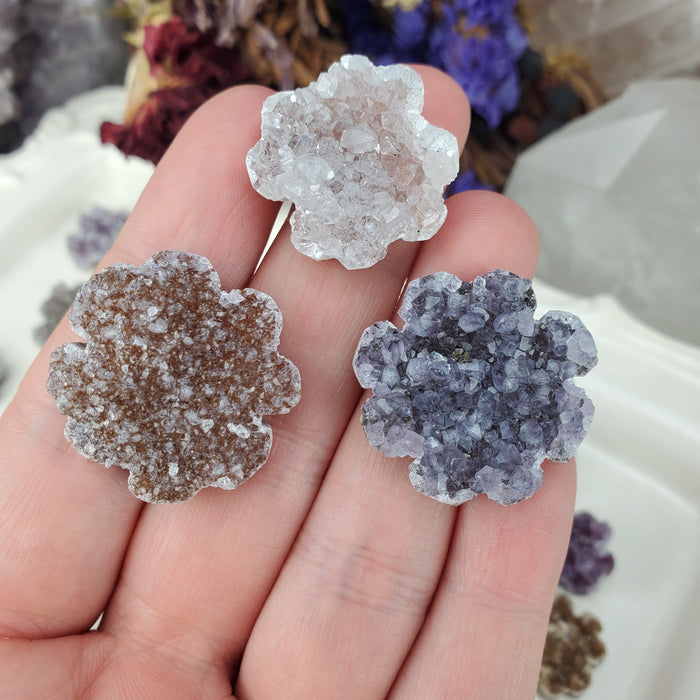 Uruguay Druzy Cabochons, Clovers