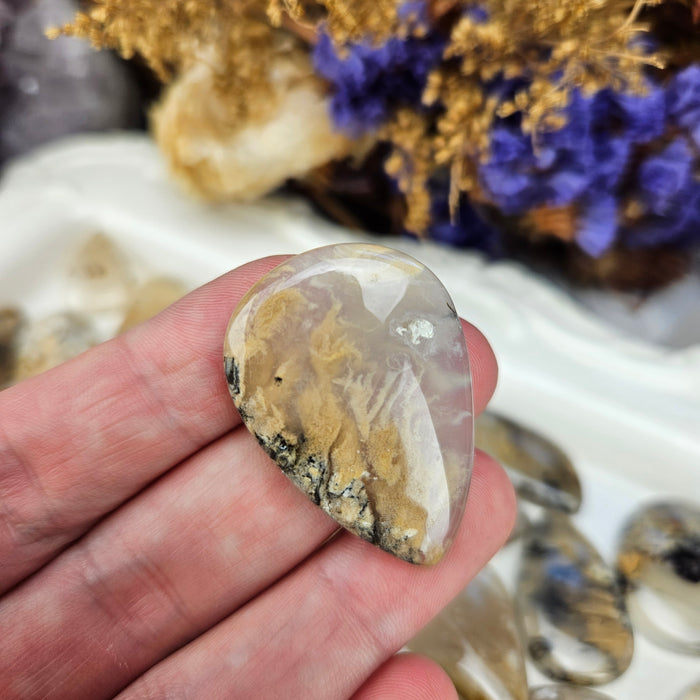 Dendritic Tiger Agate Cabochons