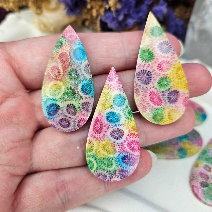 Rainbow Fossil Coral Teardrop Cabochons