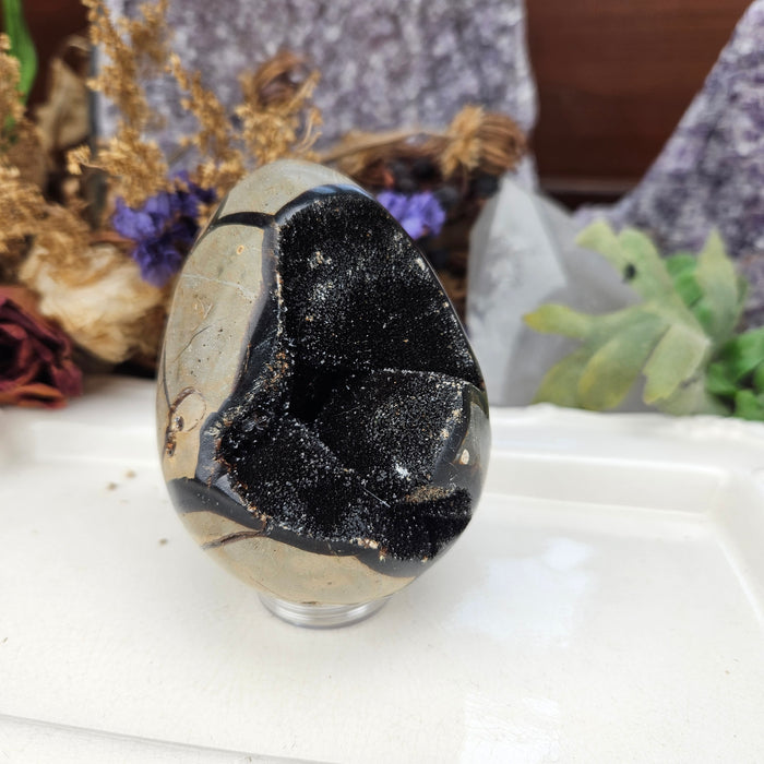 Septarian Dragon's Egg, 4