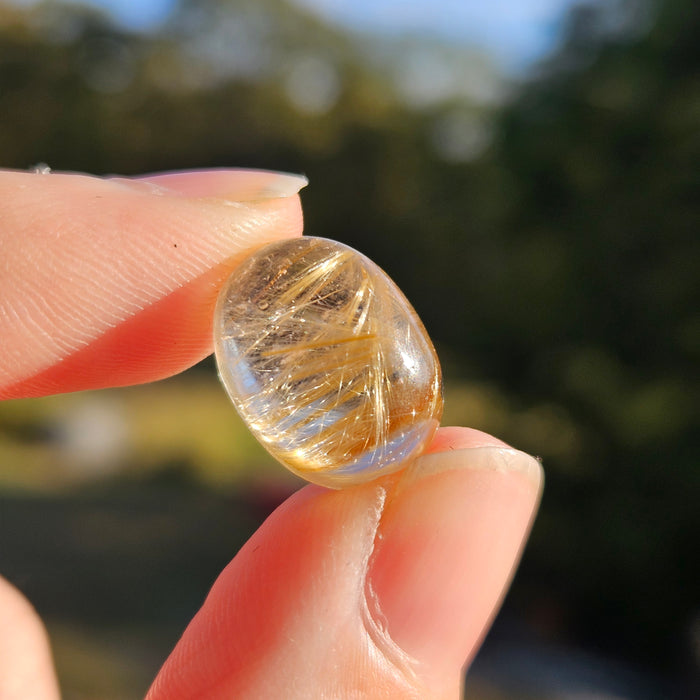 Golden Rutile Cabochon, 2