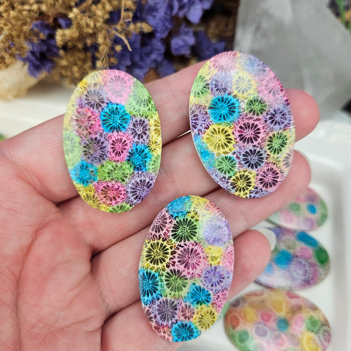 Rainbow Fossil Coral Oval Cabochons