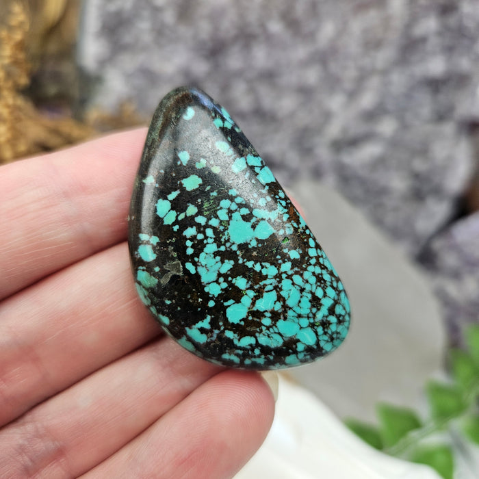 Tibetan Turquoise Cabochons, large