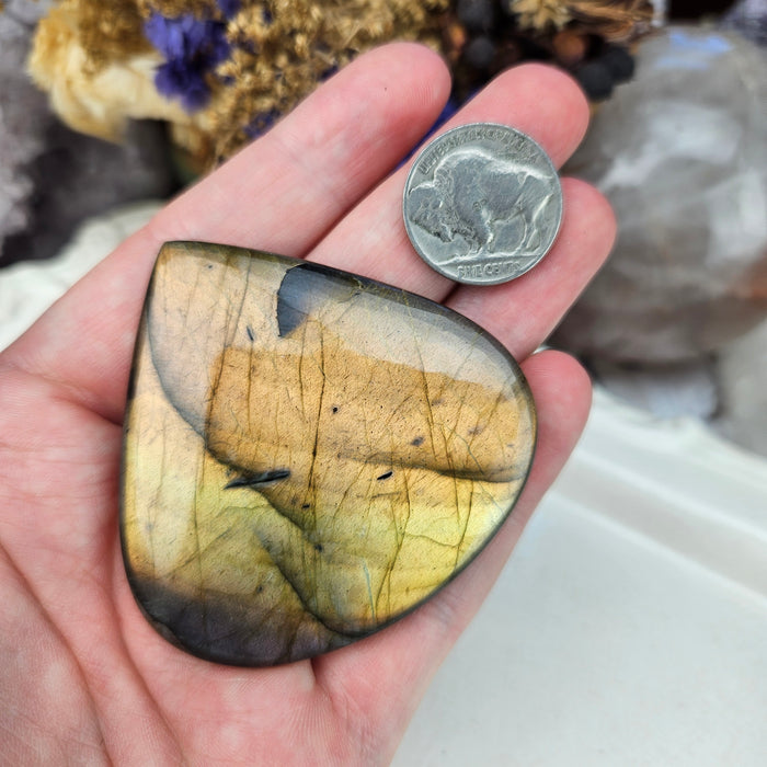 Labradorite Cabochon, 9