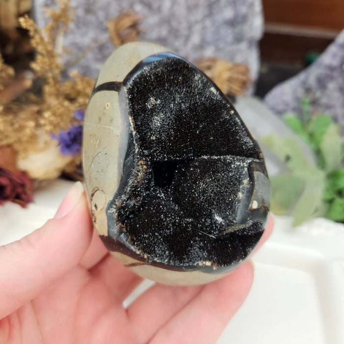 Septarian Dragon's Egg, 4