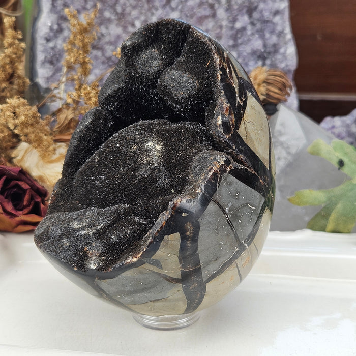 Septarian Dragon's Egg, 5