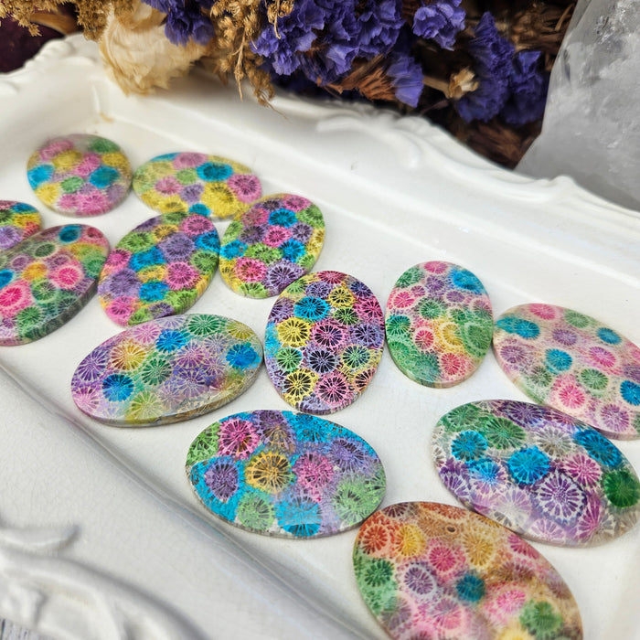 Rainbow Fossil Coral Oval Cabochons
