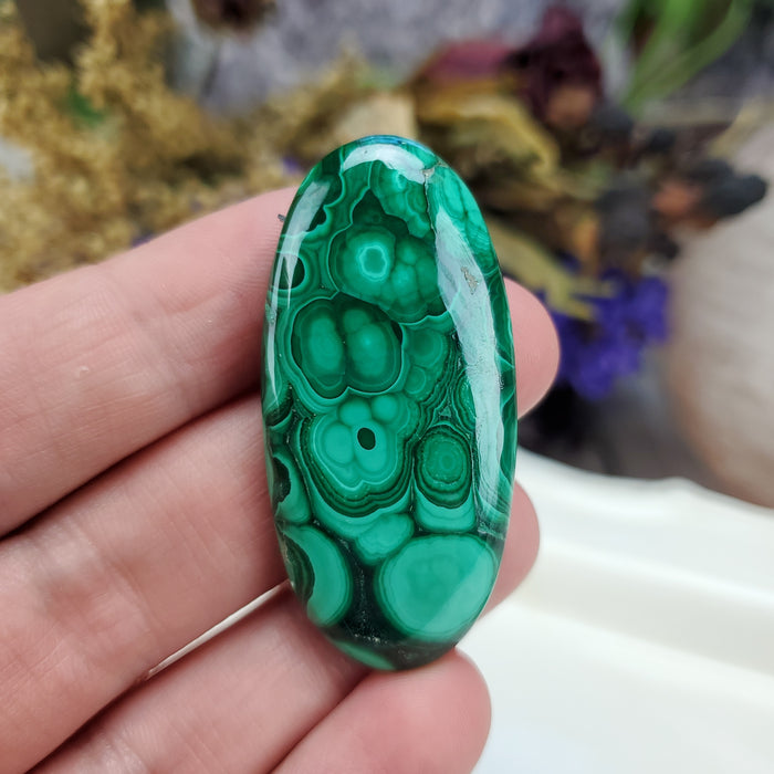 Malachite Cabochon, 15