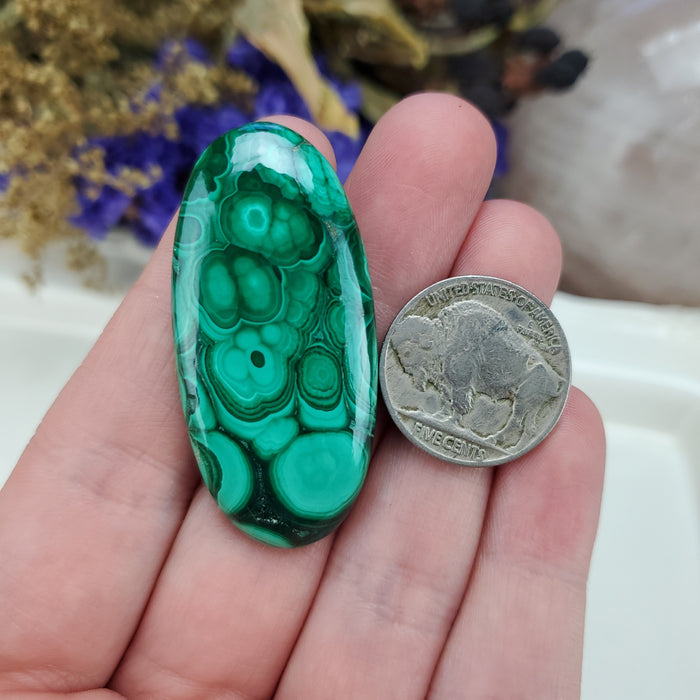 Malachite Cabochon, 15