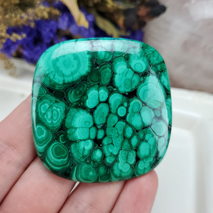 Malachite Cabochon, 12