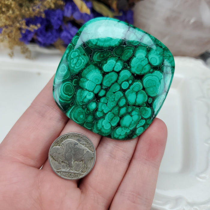 Malachite Cabochon, 12