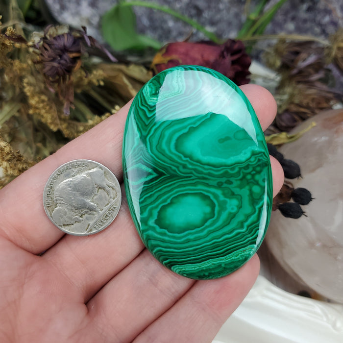 Malachite Cabochon, 17