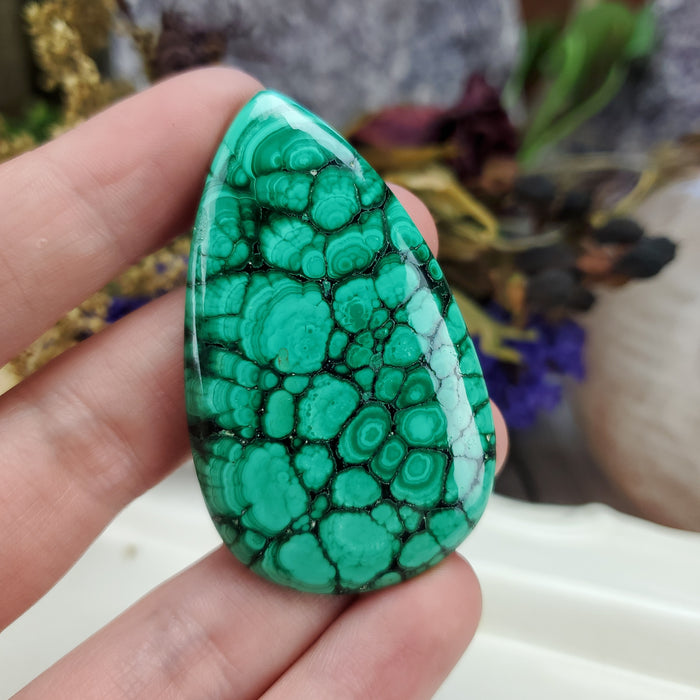 Malachite Cabochon, 20