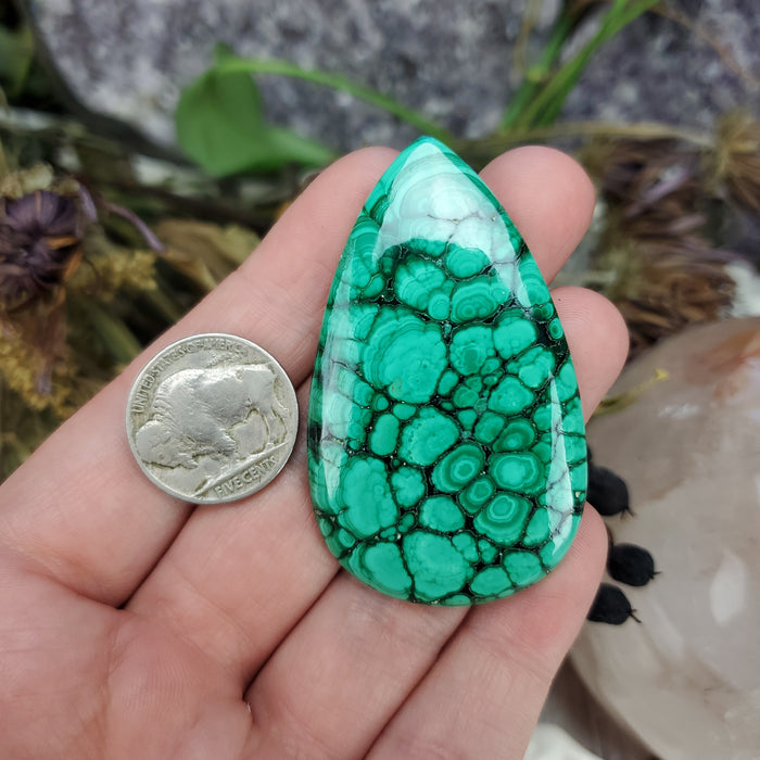 Malachite Cabochon, 20