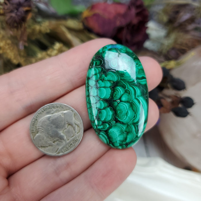 Malachite Cabochon, 25