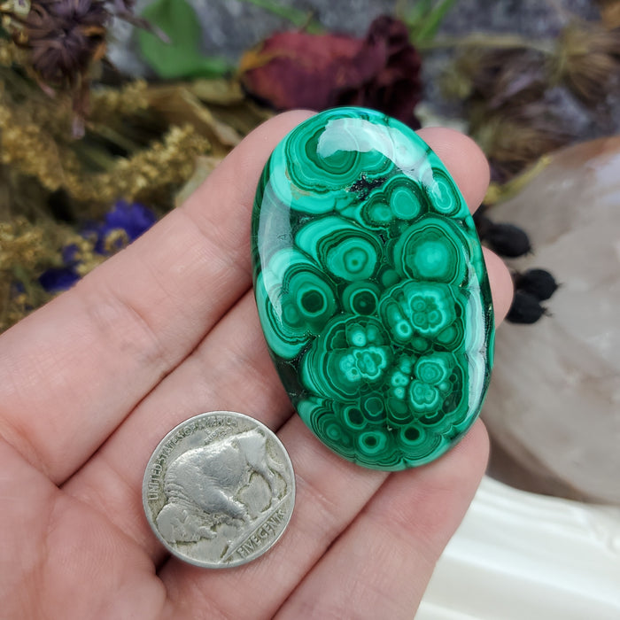 Malachite Cabochon, 23