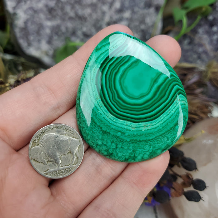 Malachite Cabochon, 24