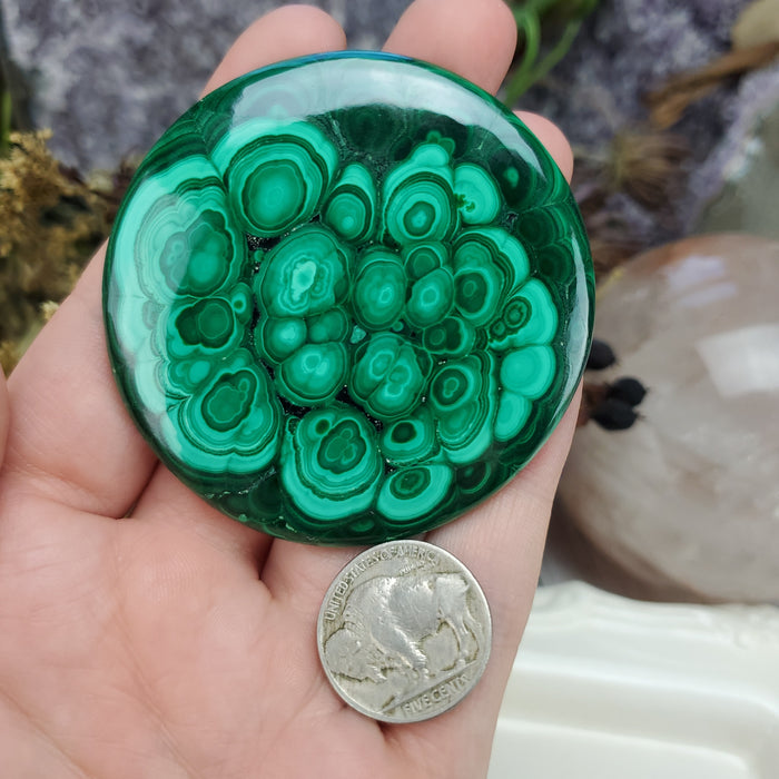 Malachite Cabochon, 19