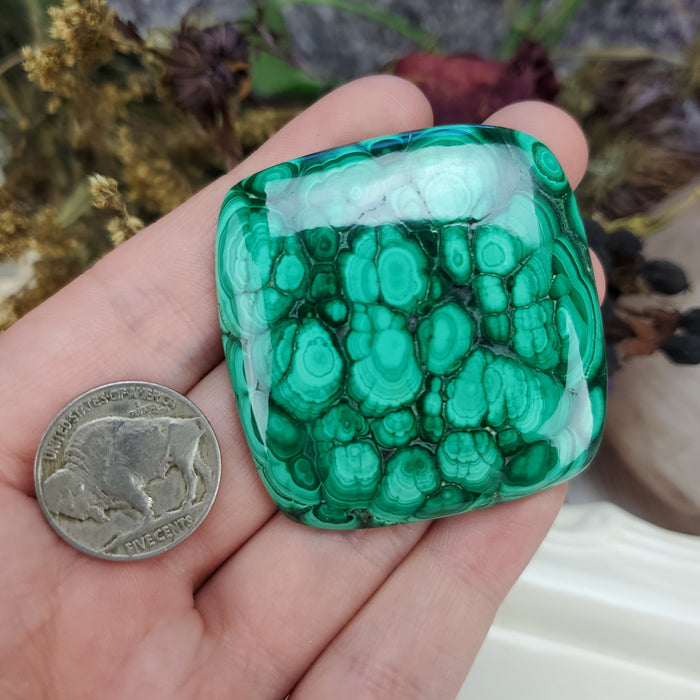 Malachite Cabochon, 4