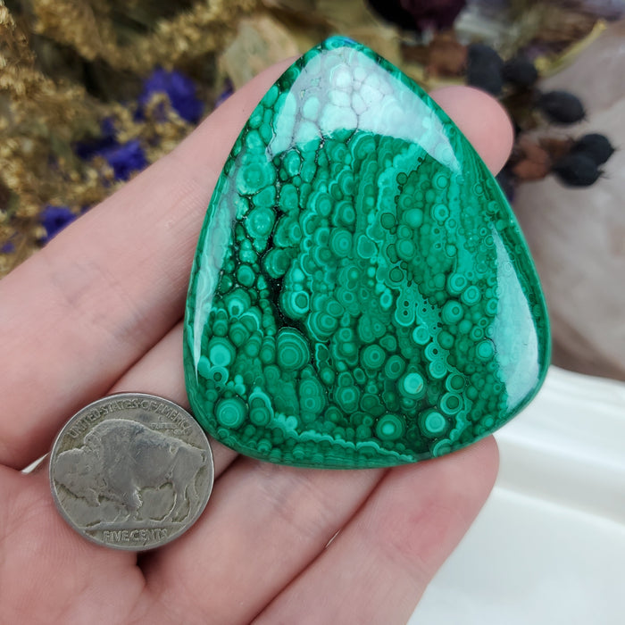 Malachite Cabochon, 9