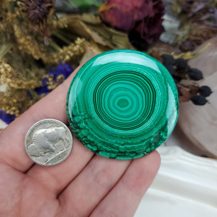 Malachite Cabochon, 2