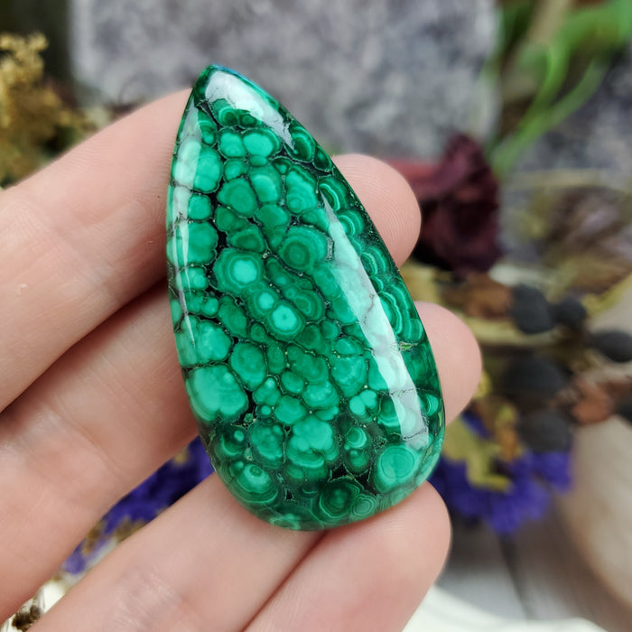 Malachite Cabochon, 10