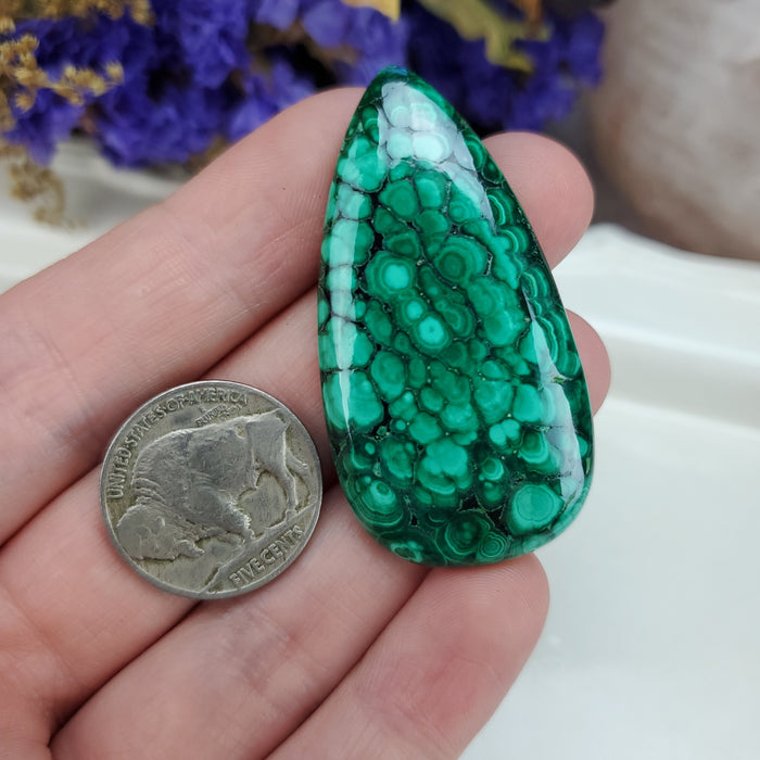 Malachite Cabochon, 10