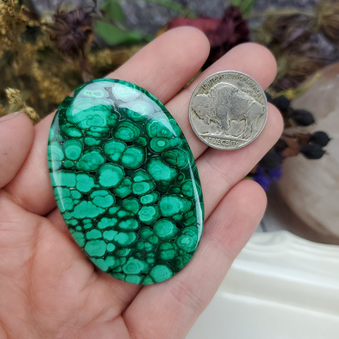 Malachite Cabochon, 1