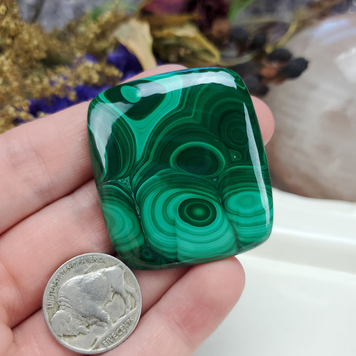 Malachite Cabochon, 14