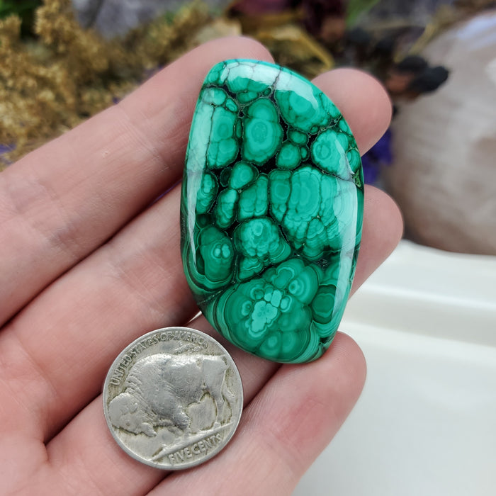 Malachite Cabochon, 21