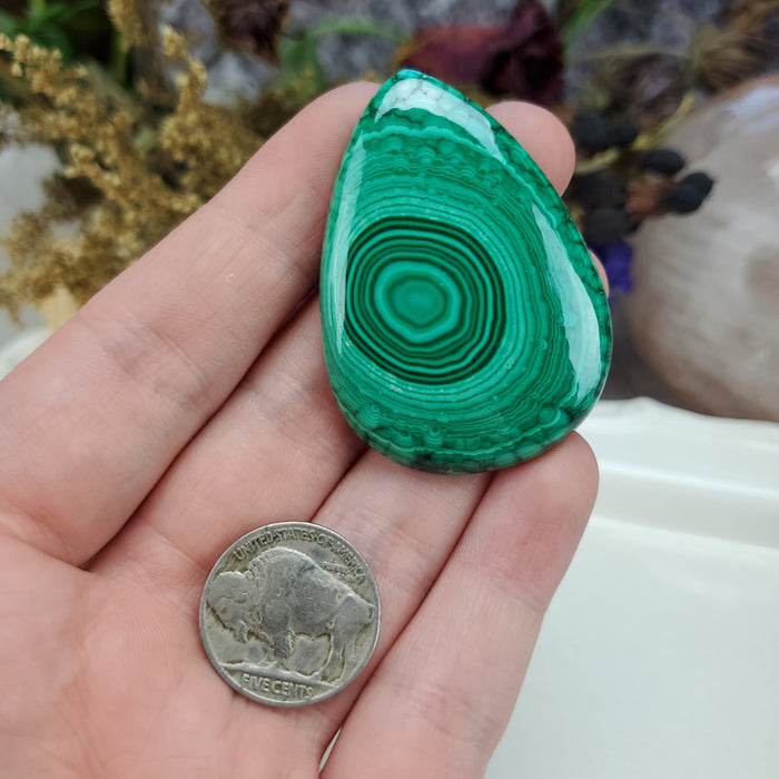 Malachite Cabochon, 11