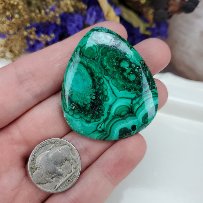 Malachite Cabochon, 22