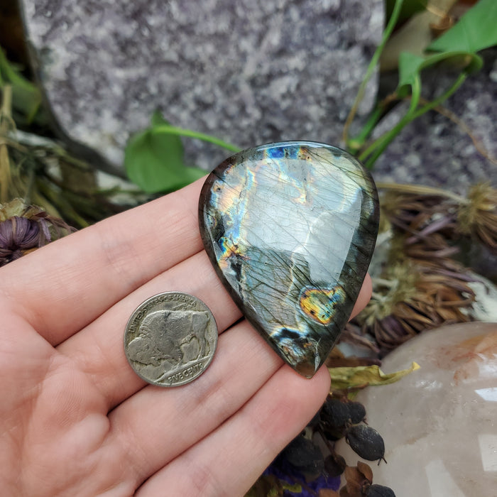 Purple Labradorite Cabochon, 4