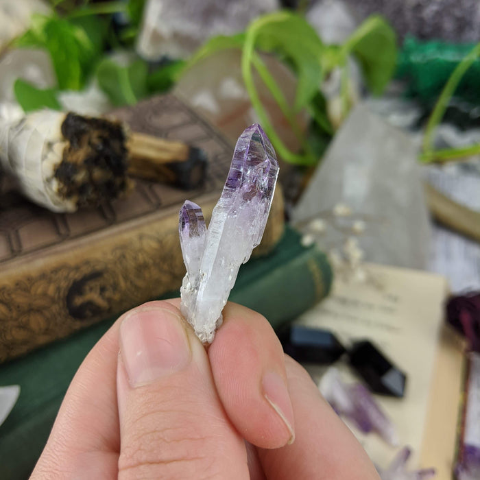 Vera Cruz Amethyst Points