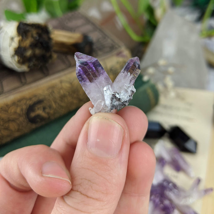 Vera Cruz Amethyst Points