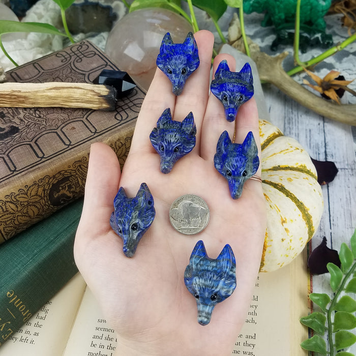 Lapis Lazuli Wolf Head, drilled