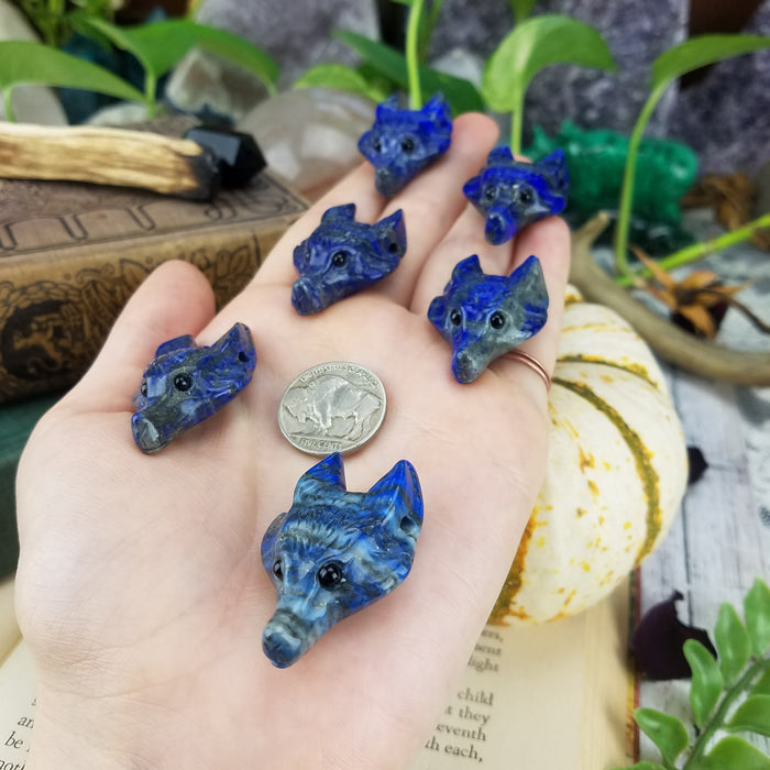 Lapis Lazuli Wolf Head, drilled