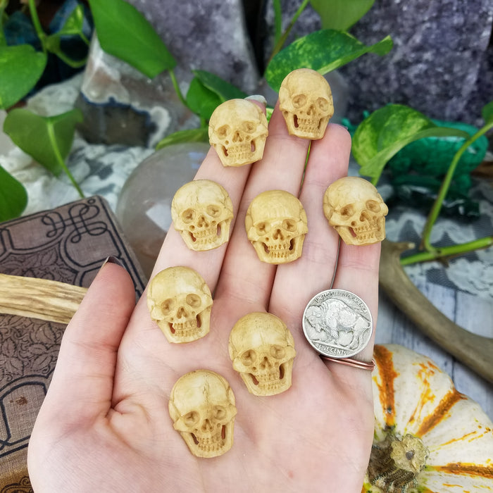 Skull Carving Cabochon, Stained