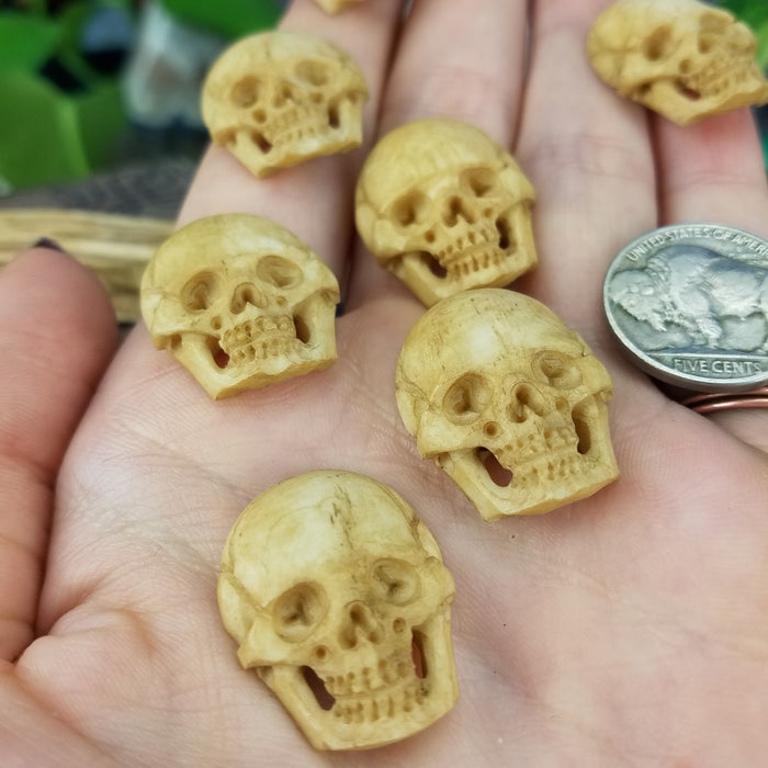 Skull Carving Cabochon, Stained