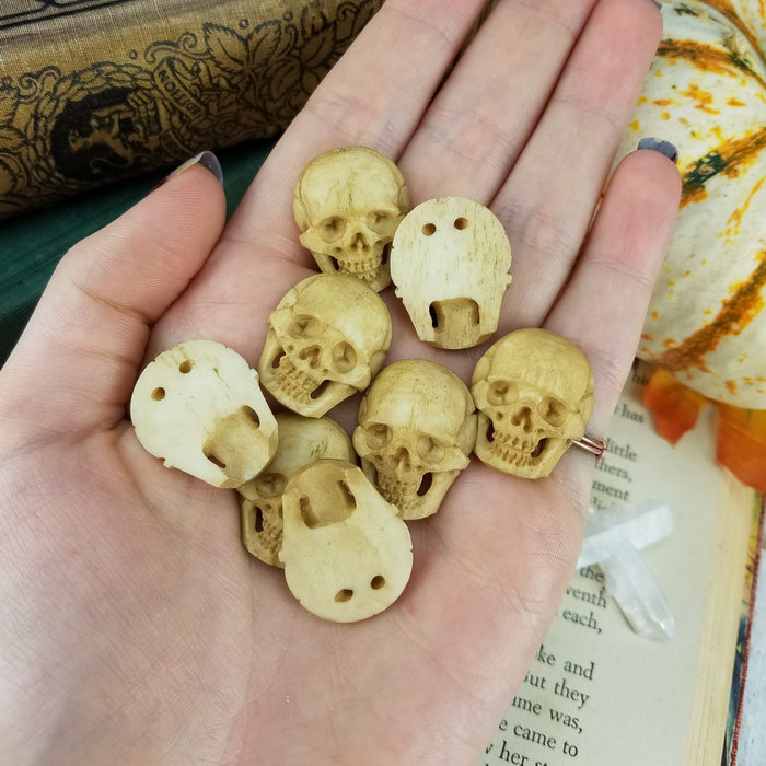 Skull Carving Cabochon, Stained