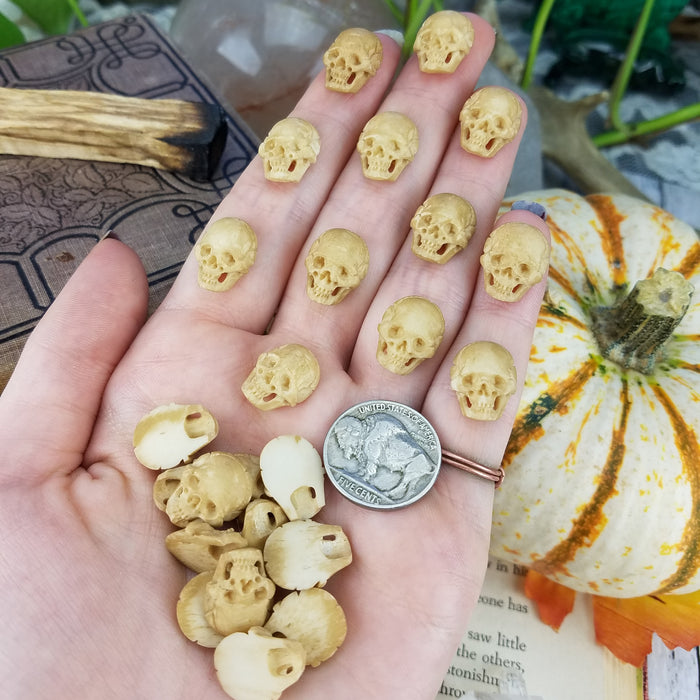 Mini Skull Carving Cabochon, stained