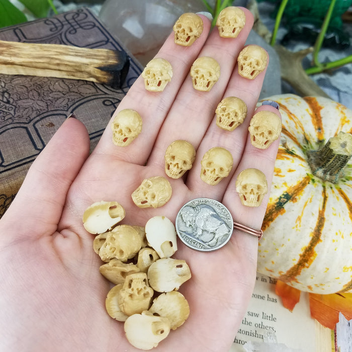 Mini Skull Carving Cabochon, stained