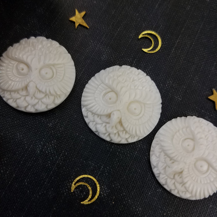 Round Owl Face Bone Cabochon, drilled