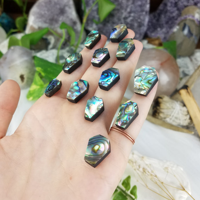 Abalone Coffins