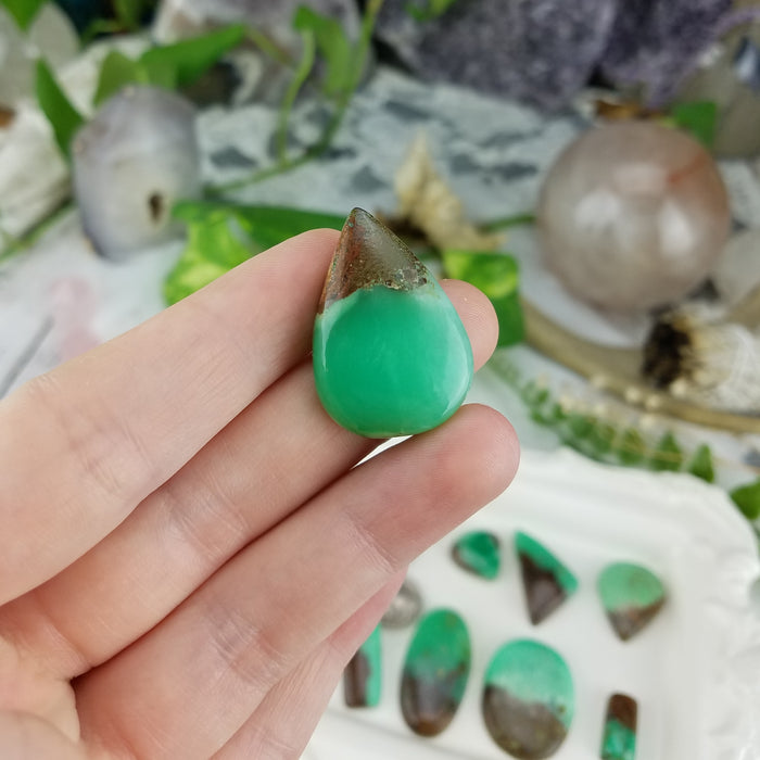 Chrysoprase Cabochons , Freeform